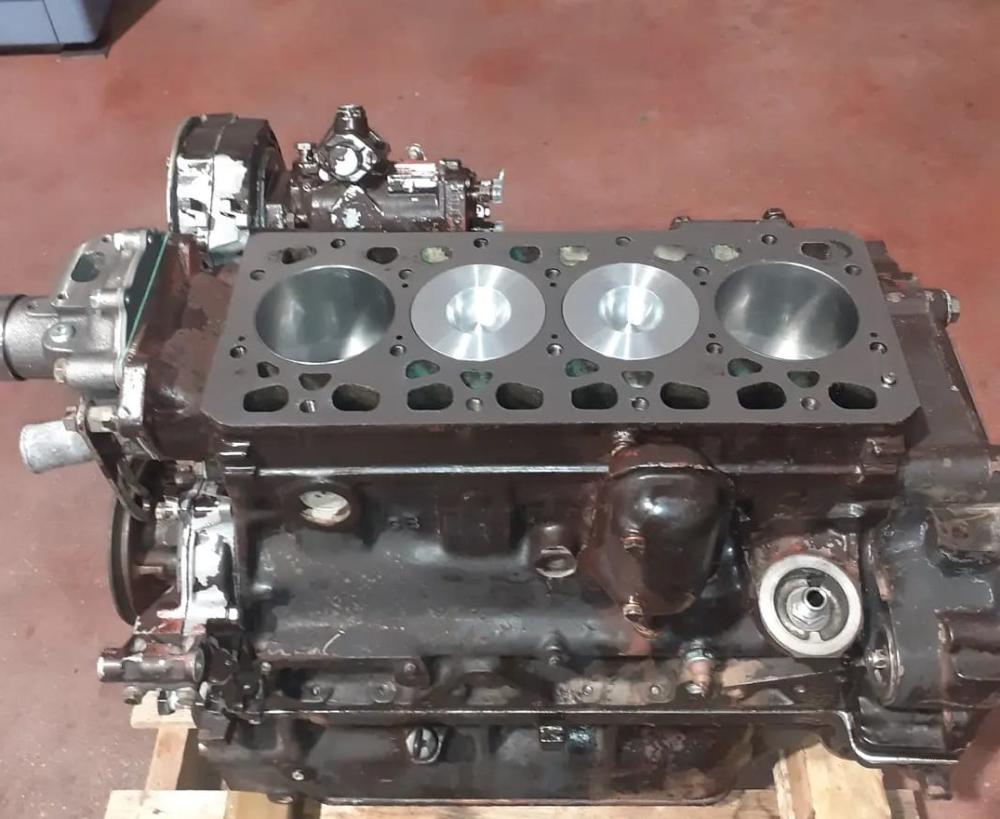 Revisione Motore TRATTORE FIAT 804504